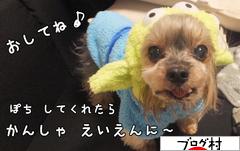 ブログランキング・にほんブログ村へ