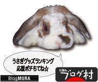 ブログランキング・にほんブログ村へ