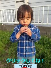 ブログランキング・にほんブログ村へ