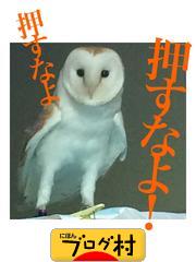 ブログランキング・にほんブログ村へ