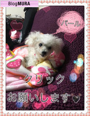 ブログランキング・にほんブログ村へ