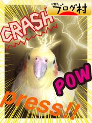 ブログランキング・にほんブログ村へ