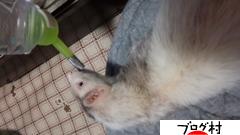 ブログランキング・にほんブログ村へ