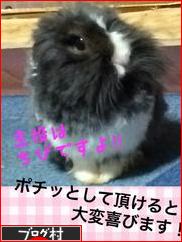 ブログランキング・にほんブログ村へ