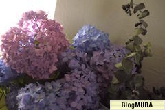 アナベルの湯揚げ おうちがいちばん好き