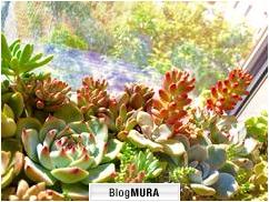 ブログランキング・にほんブログ村へ