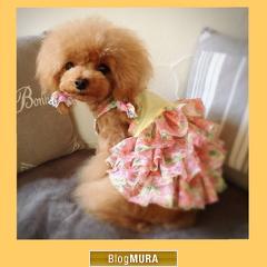 ブログランキング・にほんブログ村へ