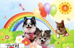 ブログランキング・にほんブログ村へ