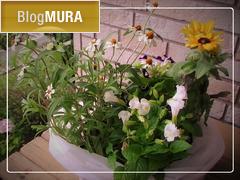 ブログランキング・にほんブログ村へ