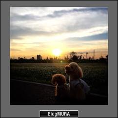 ブログランキング・にほんブログ村へ