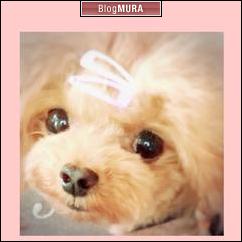 ブログランキング・にほんブログ村へ