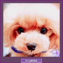 ブログランキング・にほんブログ村へ