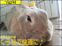 ブログランキング・にほんブログ村へ