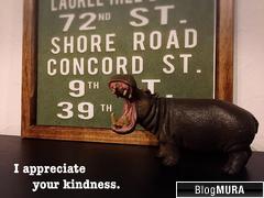 ブログランキング・にほんブログ村へ