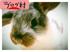 ブログランキング・にほんブログ村へ