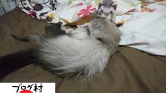 ブログランキング・にほんブログ村へ