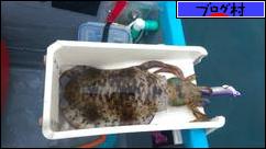 ブログランキング・にほんブログ村へ