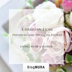 ブログランキング・にほんブログ村へ