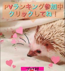 ブログランキング・にほんブログ村へ