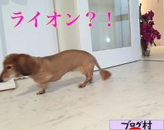ブログランキング・にほんブログ村へ