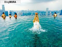 ブログランキング・にほんブログ村へ