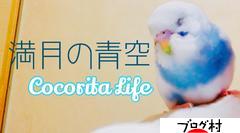 ブログランキング・にほんブログ村へ