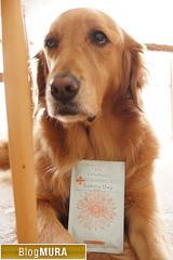 ブログランキング・にほんブログ村へ