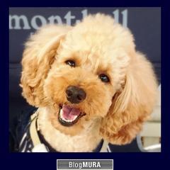 ブログランキング・にほんブログ村へ