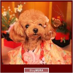 ブログランキング・にほんブログ村へ