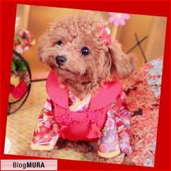 ブログランキング・にほんブログ村へ