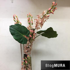 ブログランキング・にほんブログ村へ