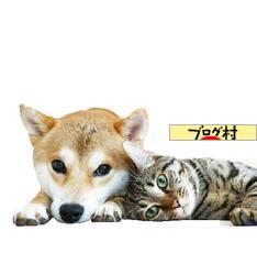 ブログランキング・にほんブログ村へ