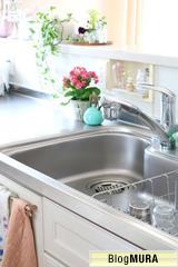 ブログランキング・にほんブログ村へ