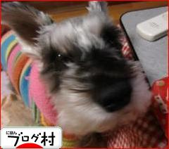 ブログランキング・にほんブログ村へ