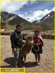 ブログランキング・にほんブログ村へ