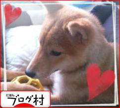 ブログランキング・にほんブログ村へ