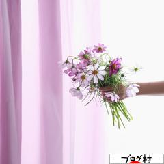 ブログランキング・にほんブログ村へ