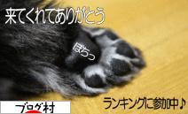 ブログランキング・にほんブログ村へ