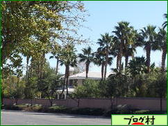 ブログランキング・にほんブログ村へ