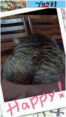 ブログランキング・にほんブログ村へ