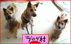 ブログランキング・にほんブログ村へ