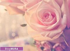 ブログランキング・にほんブログ村へ