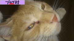 ブログランキング・にほんブログ村へ