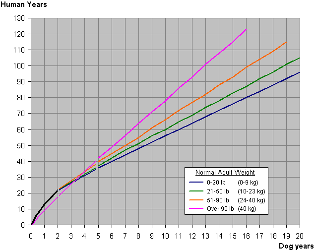 Birthday Calculator.