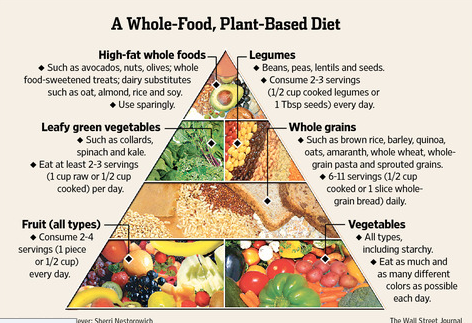 Image result for plant based diet