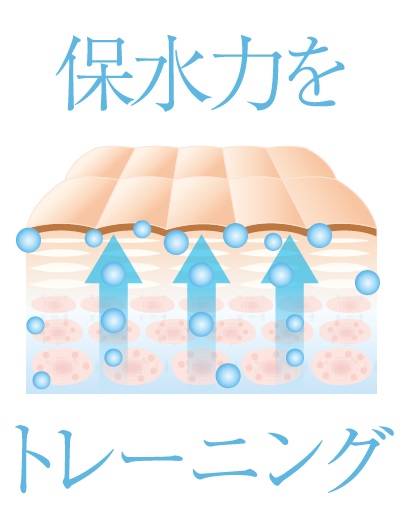 保水力トレーニング