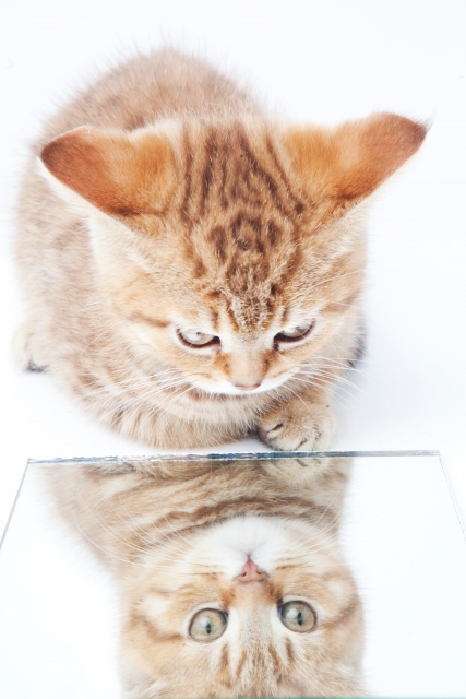 9b7047c50da7a0c760e1ab8b4cd6b0dc_s