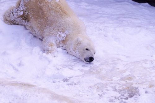 4f1a9c3fac1eeb6f6f2da92f01746547_s