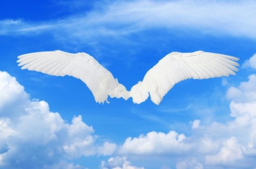 99e09145929a81ee294f59fdbec9afff_t