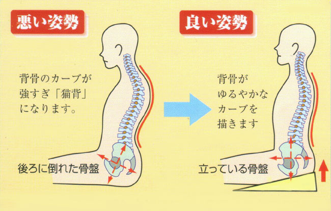 「悪い姿勢　良い姿勢」の画像検索結果